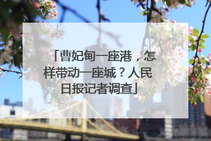 曹妃甸一座港，怎样带动一座城？人民日报记者调查
